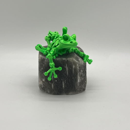 Mr.Froggy